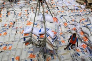 Distribusi Beras Impor yang Memasuki RI