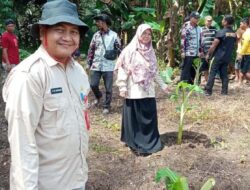 Kembangkan Lahan Pertanian di Loa Kumbar, Disketapangtani Bantu Bibit