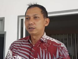 BKSDA Kaltim Segera Kerahkan Tim Pencarian Orang Utan Pada Area Tambang
