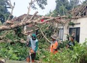 Cuaca Ekstrem Terjang DIY, Puluhan Rumah Rusak dan Ratusan Titik Terdampak