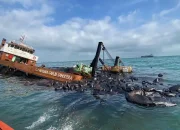 Kapal Pengangkut Limbah B3 Kandas di Batam, Tumpahan Minyak Hitam Masih Ditangani