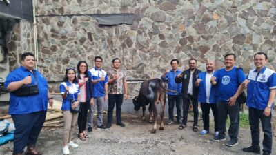 GAMKI Ikut Berkurban Bersama GP Ansor dan Pemuda Muhammadiyah