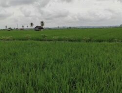 Kukar Bersiap Sambut IKN, Penguatan Sektor Pertanian dan Pariwisata