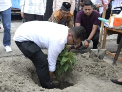 Program Wajib Tanam Pohon Bagi Siswa Akan Segera diRealisasikan
