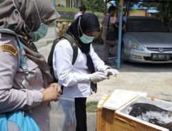 Karantina Kaltim Tahan 578kg Daging Babi