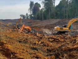 Hutan Unmul Kembali Dirampas Oleh Penambang Ilegal