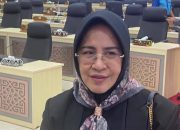Syarifatul Sya’diah Ketuai Pansus RPJMD Kaltim 2025-2029
